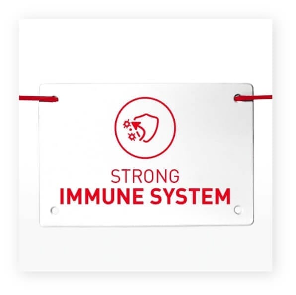 SOL FB IG Static Video Carrousel Maine Coon Consideration 1200x1200px 2 1